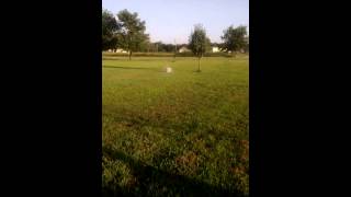 Highly Explosive Firecrackers 