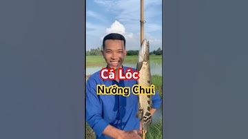 Cá lóc nướng trui – hương vị đồng ruộng tuổi thơ 🌾🔥 #MiềnTây #CáLócNướngTrui #ẨmThựcDânDã #Shorts