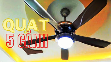 Quạt Trần Đèn Trang Trí 5 Cánh Làm Mát Mùa Nóng 2024