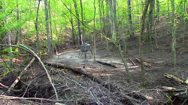 Hog Hunting at the Rock Water Ranch.