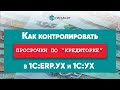 Анализ и контроль просроченной кредиторской задолженности в 1С: ERP 2 и 1С: ERP.Управление холдингом