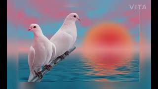 Gaata Rahe Mera Dil instrumental|Guide|Kishore Kumar