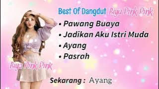 Playlist Best Of Dangdut Biya Pink Pink | Aku Pawang Buaya Kamu Takkan Bisa | Full Album