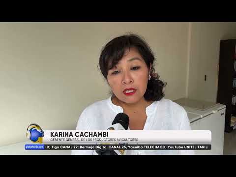 DERRUMBES AL CHACO IMPIDEN TRANSPORTE DE PRODUCTOS A SANTA CRUZ