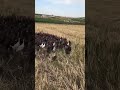 #рек #машина #funny #реклама #рекомендации #хочуврек #дубай #ош #хаха