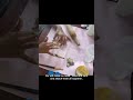 From trash to treasure # painting#clay craft # shorts