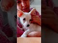 Morning cuddles with my baby chi chi best ever 😍