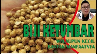 KHASIAT BIJI KETUMBAR UNTUK KESEHATAN YANG HARUS KAMU KETAHUI