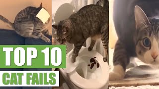 TOP 10 CAT FAILS 2023 by The Crazy Cats 2,168 views 3 years ago 2 minutes, 56 seconds