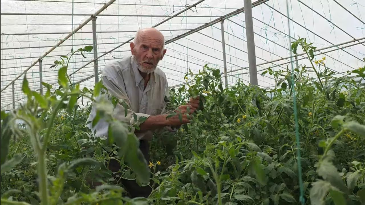 Του 40 γεννηθείς και δουλεύει ακόμα στα θερμοκήπια στην Σύρο 