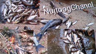 Best Food - Hunting Yos Noj Ntes Hav Dej Lom Zem Heev 2021 P8