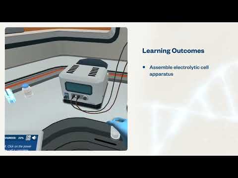Electrolysis Virtual Lab