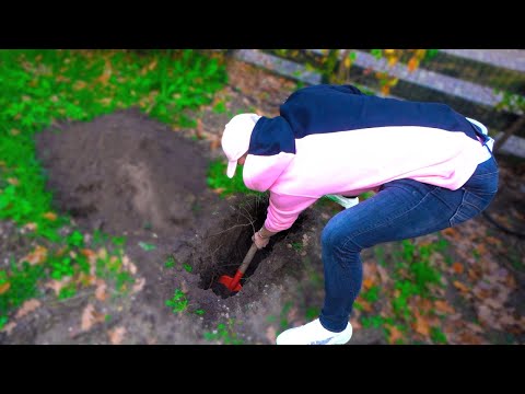 Video: Waar Een Huisdier Begraven?