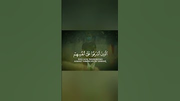 سمير عزت ما تيسر من سورة الزمر