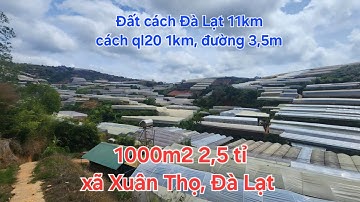 Bán 1000m2 sổ riêng 2,5 tỉ xã Xuân Thọ, Đà Lạt. Đất có sẵn nhà trên đất, đường bê tông 3,5m