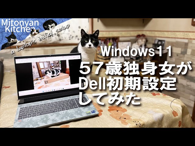 DELL 第11世代i5 15" SSD + HDD 8GB 初心者用初期設定済