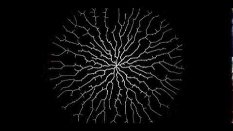 Growth Algorithm - Initial Sketch for DevArt Google