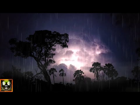 Thunder and Rain | Heavy Thunderstorm Sounds for Sleeping, Studying, Relaxing | 8 Hours