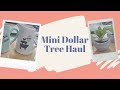 New Mini Dollar Tree Haul ♡ 3/28/2021