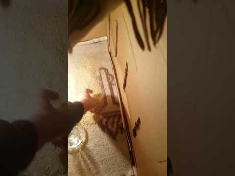 Cimuka CT60 Kuluçka