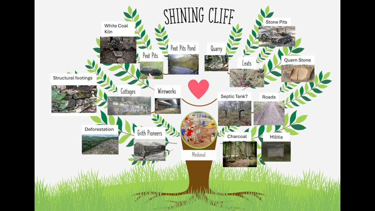 Importance of Preserving and Understanding the Industrial History of Shining Cliff Woods, Derbyshire