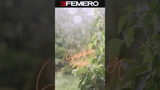 Efemero X Massy  Summer Rain efemero summer rain outofdimension viral subscribe shorts