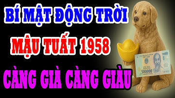 Bí Mật Động Trời Mậu Tuất 1958 Một Đời Gieo Thiện Nghiệp, TRỜI BAN LỘC Phú Quý Giàu Sang Tự Tìm Đến