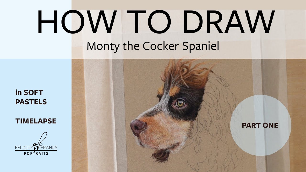 How to draw a Cocker Spaniel - Monty - part one timelapse