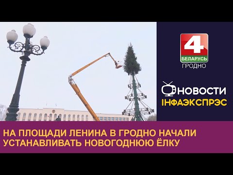 На площади Ленина в Гродно начали устанавливать новогоднюю ёлку