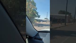 Road Trip - Mount Isa to Richmond