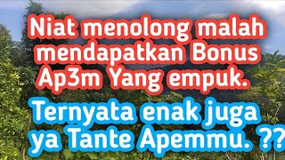 Mendapatkan Bonus dari Tante Yanti 💕 Cerpen romantis