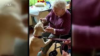 Nursing homes see serious declines in COVID-19 cases, deaths