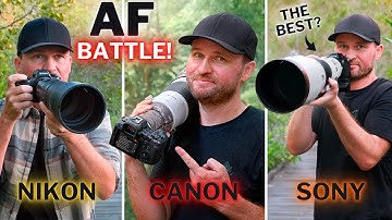 Why Everyone Loves Sony