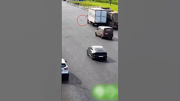 Утки стали причиной ДТП на МКАД в Москве