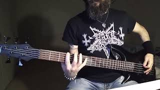 Alice Cooper - Poison (Bass cover) #nighttimecovers