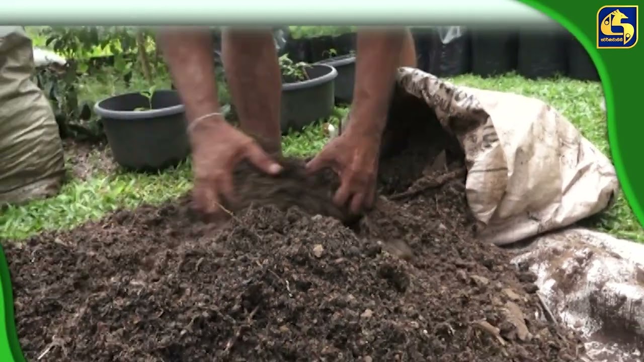 ඕනෙම වගාවකට පස සකසා ගන්නා ආකාරය