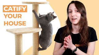 How to Catify Your Home: 5 Expert-Approved Tips by Cats 6,397 views 4 months ago 7 minutes, 51 seconds