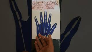Working model on Hinge Joint 🖐🤚🖐🤚