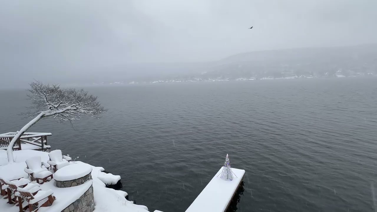 Lake Through the Seasons 4K | Stunning Nature Timelapse (Spring to Winter)