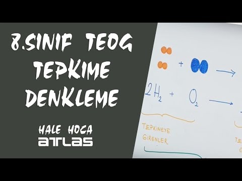 Tepkime Denkleme 8. Sınıf Teog