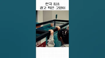한국 최초 광고 찍은 고양이 
