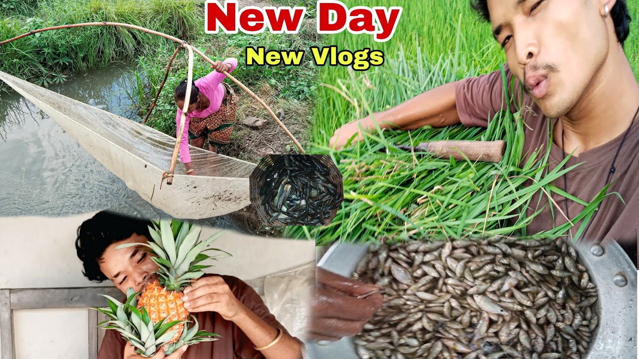 New Day , New Vlogs#pklvlogs.