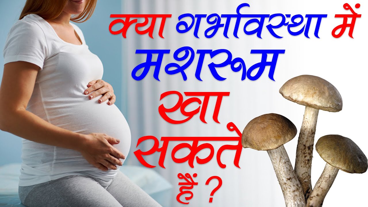 क्या गर्भावस्था में मशरूम खा सकते हैं ? kya pregnancy me masrum khana
