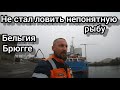 Не стал ловить непонятную рыбу у причала | Брюгге | Бельгия