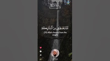 ‏﴿.. وَإِلَى اللَّهِ تُرْجَعُ الأمُورُ﴾ 🍃 تلاوة خاشعة بديعة 🤍 || ‎#بدر_التركي