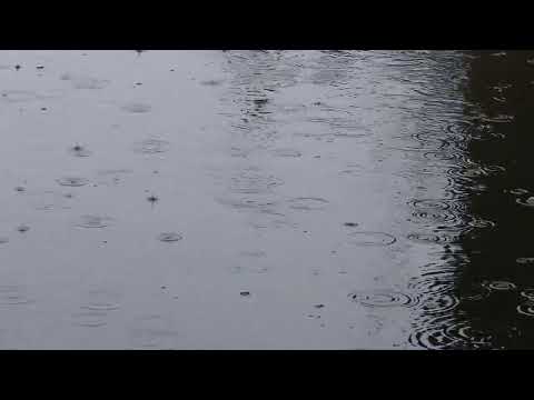 Relaxation sound of rain on canal in Ireland for sleep, meditation, yoga and stress relief.