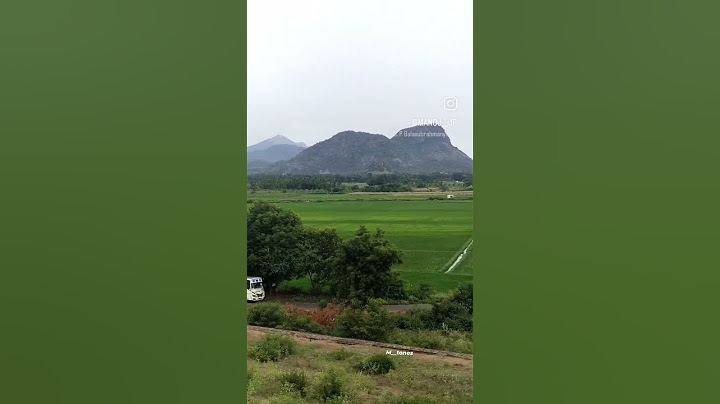 village 🌴🌿💥#village #bus #nature