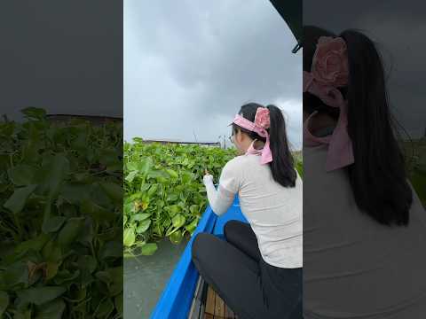 Câu tôm mùa mưa #caucachill #fishing #caucathugian #cuoccauca #caucamuamua #mayfishing