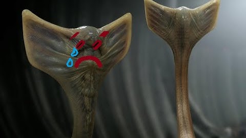 Minecraft AVP Beta Server Let