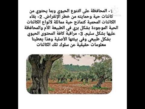 المحمية الطبيعية اعداد بيسان طايع اشراف أسماء أبوصاع 